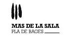 MAS NOU SALLENT, S.L.