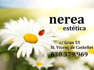 Estetica nerea